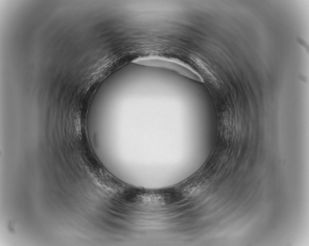 X0000098100500200804181428