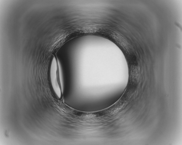 X0000098100501200804181428