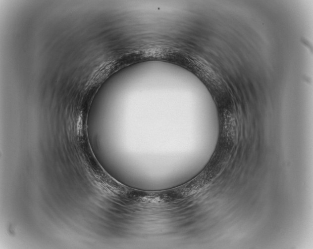 X0000098100502200804181428