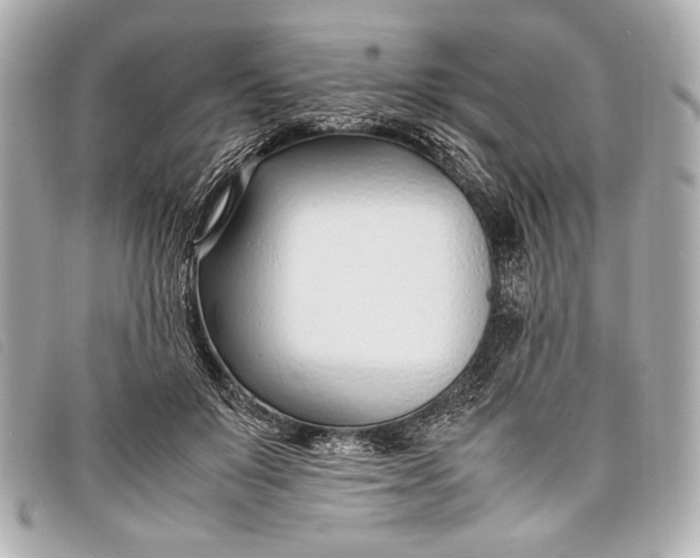 X0000098100503200804181428