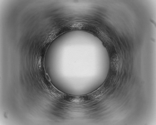 X0000098100504200804181428