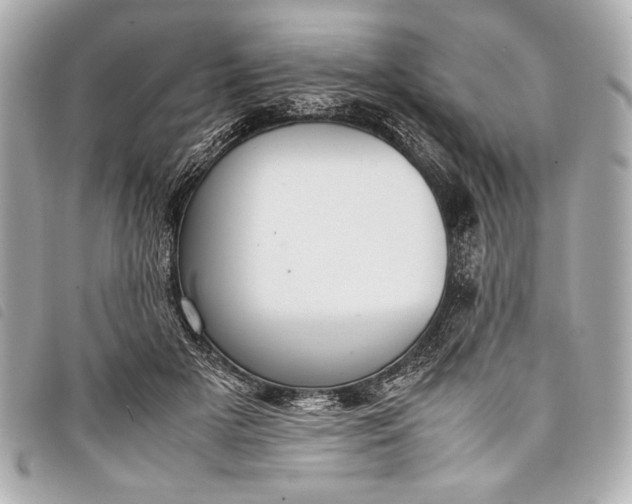 X0000098100505200804181428