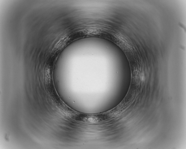 X0000098100506200804181428
