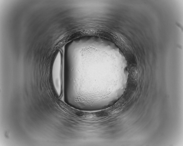 X0000098100507200804181428