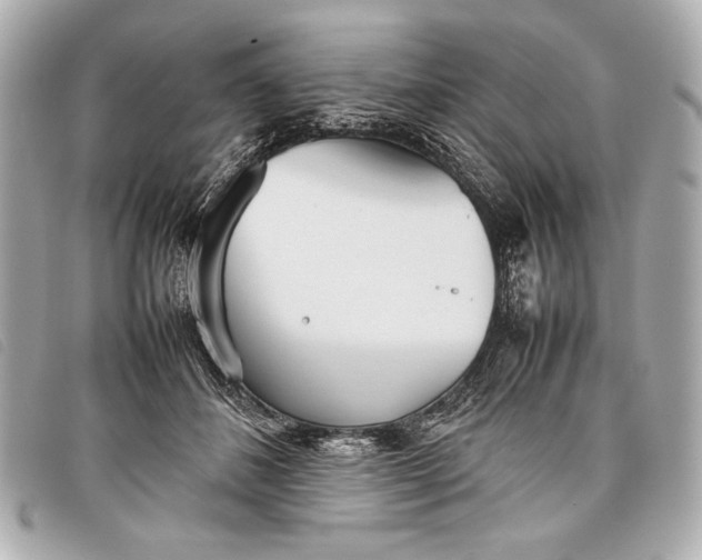X0000098100508200804181428