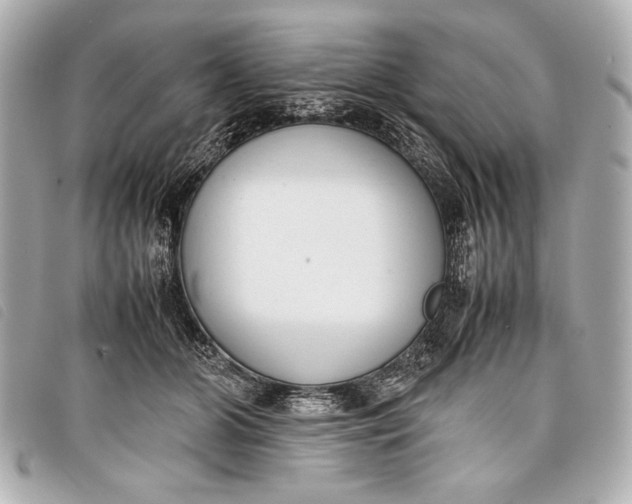 X0000098100510200804181428
