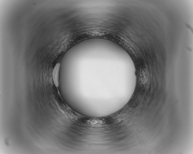 X0000098100512200804181428