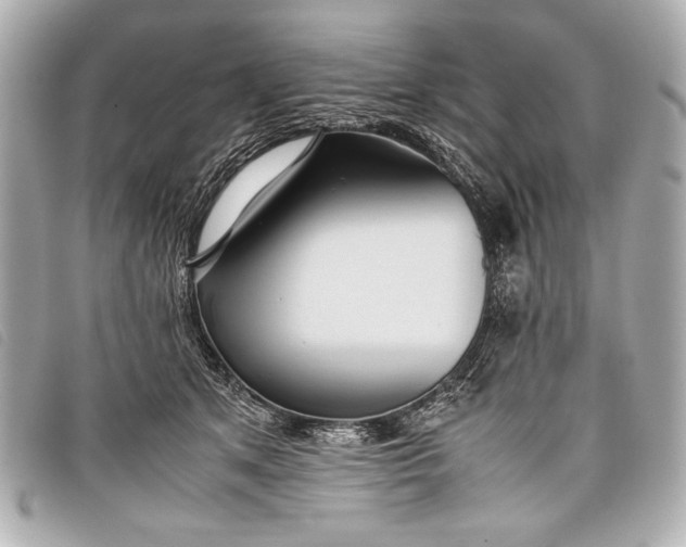 X0000098100513200804181428
