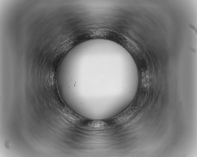 X0000098100514200804181428