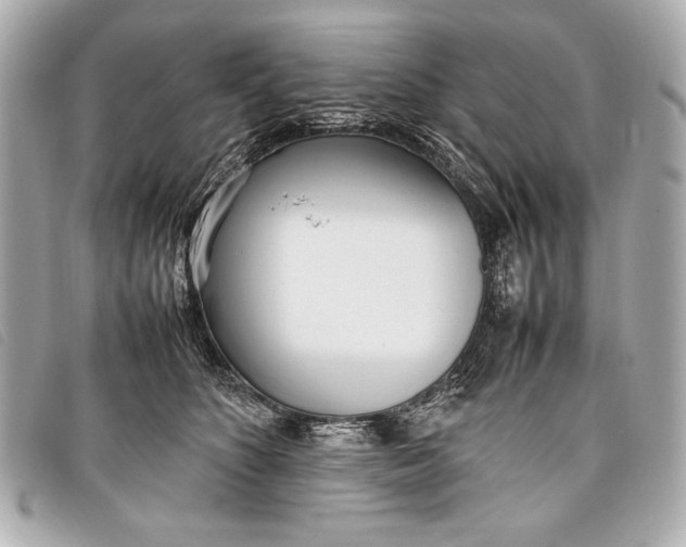 X0000098100516200804181428