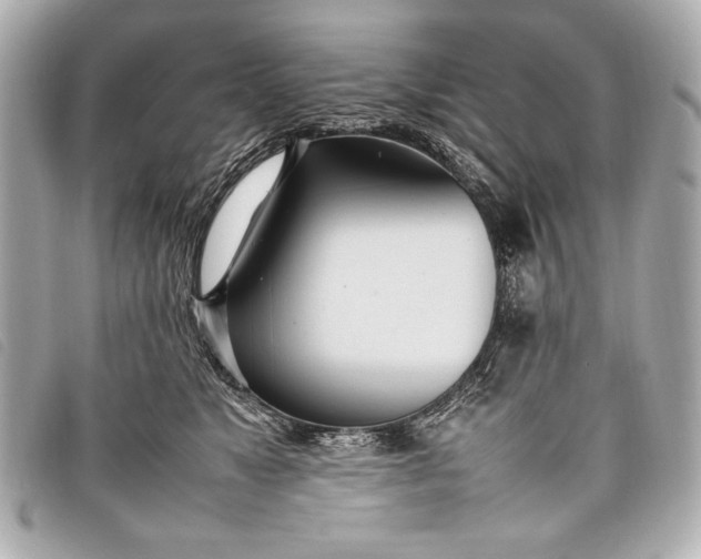X0000098100517200804181428