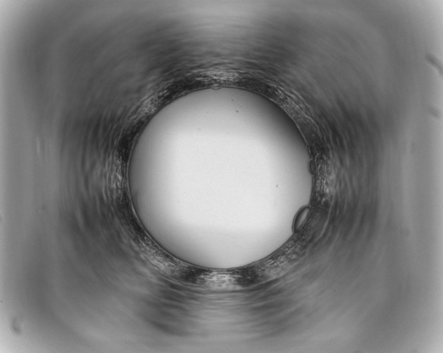 X0000098100518200804181428