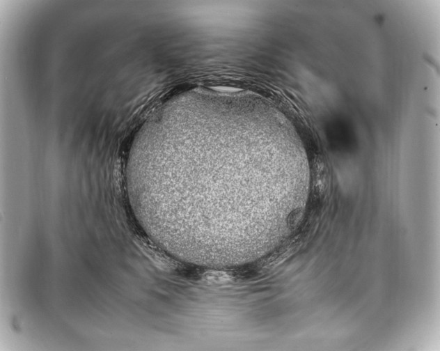 X0000098100519200804181428