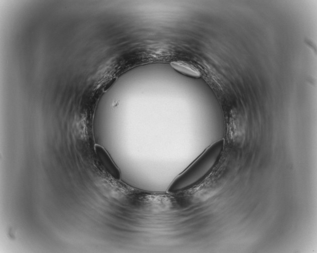 X0000098100520200804181428