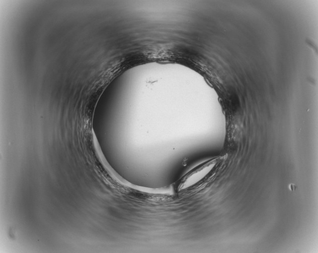 X0000098100521200804181428