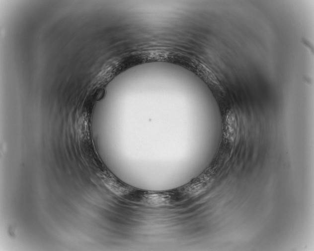 X0000098100522200804181428