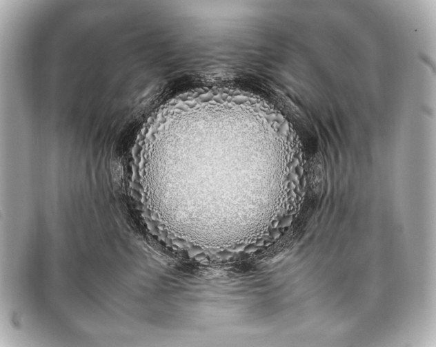 X0000098100523200804181428