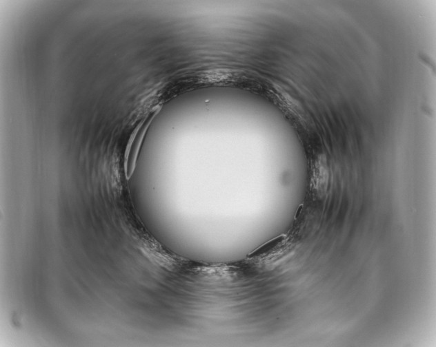 X0000098100524200804181428