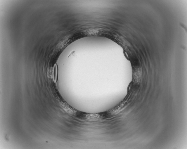 X0000098100525200804181428