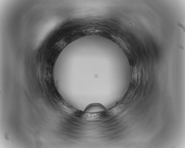 X0000098100526200804181428