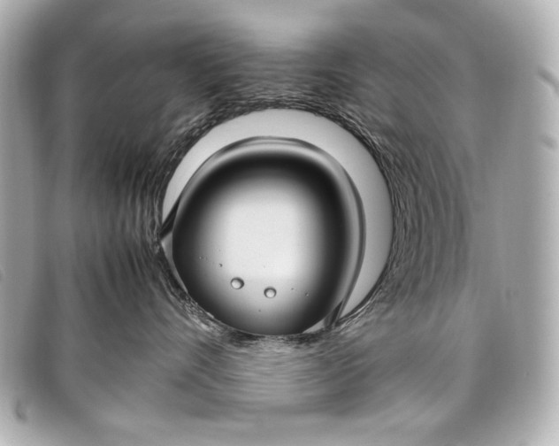 X0000098100528200804181428