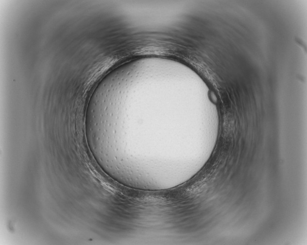 X0000098100529200804181427
