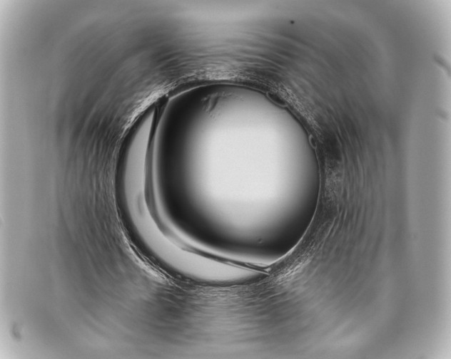X0000098100530200804181427