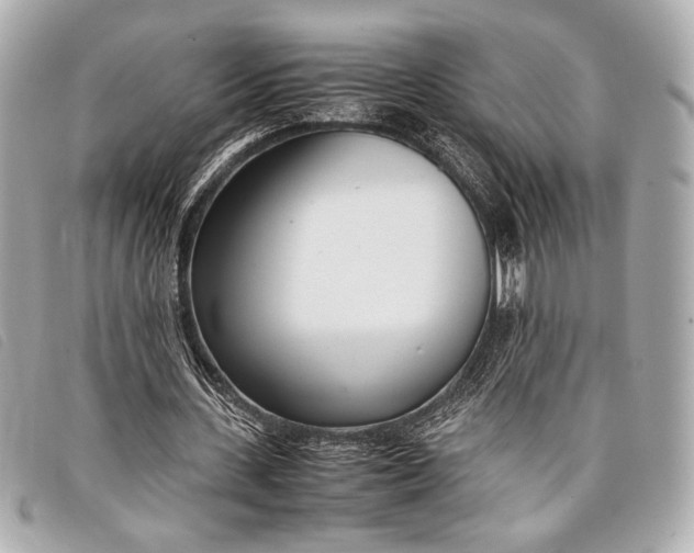 X0000098100531200804181427