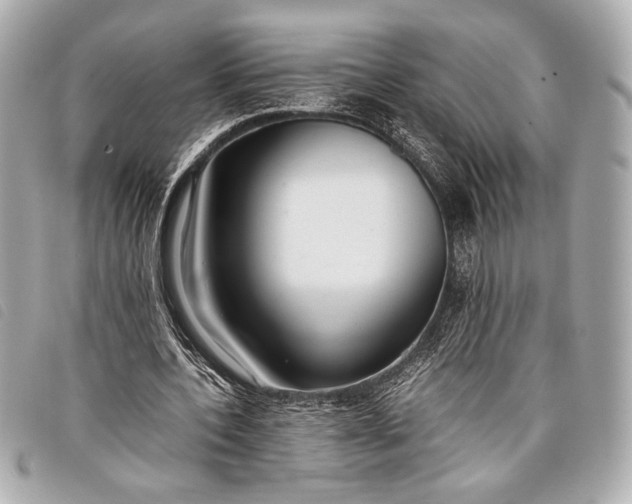 X0000098100532200804181427