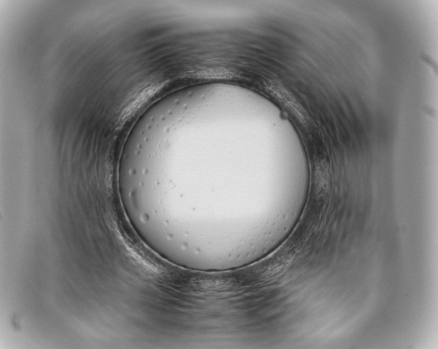 X0000098100533200804181427
