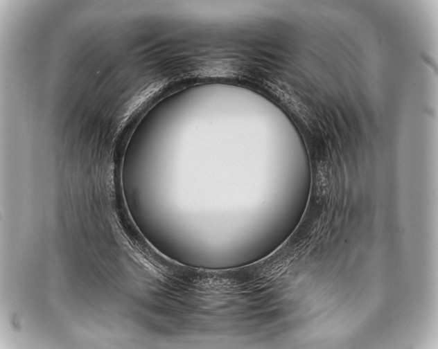 X0000098100535200804181427