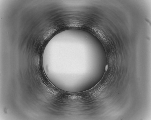 X0000098100539200804181427