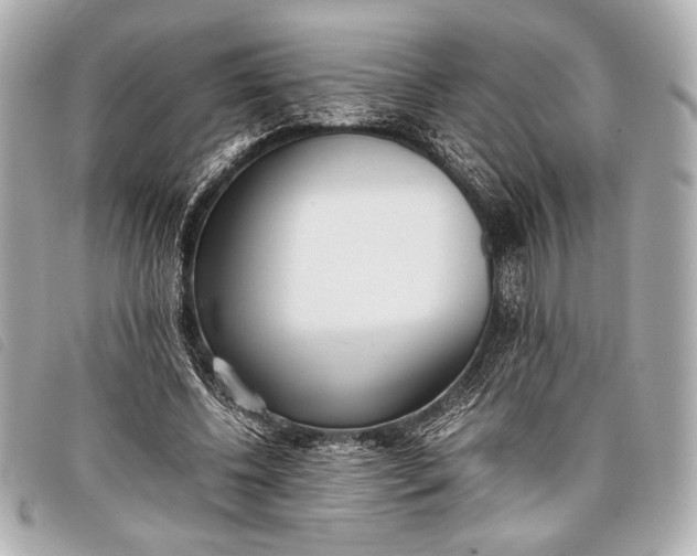 X0000098100540200804181427
