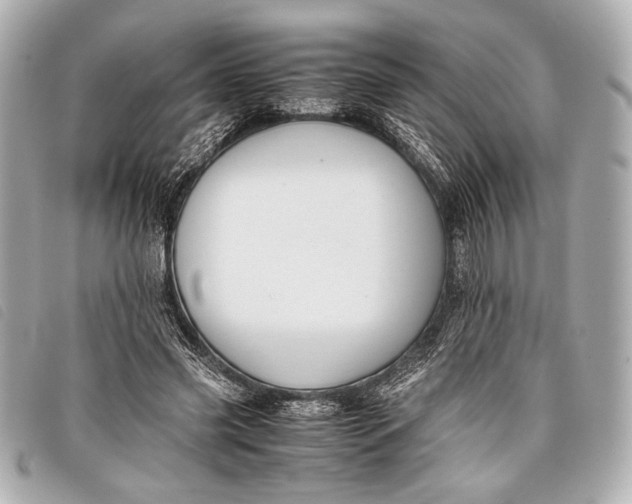 X0000098100541200804181427