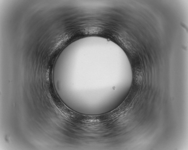 X0000098100543200804181427