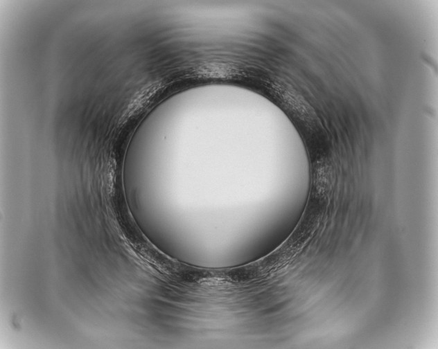 X0000098100544200804181427