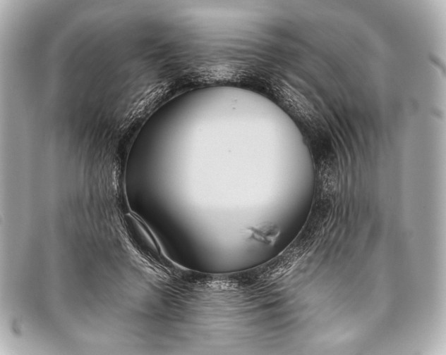 X0000098100546200804181427