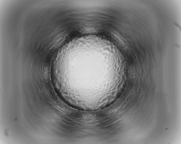 X0000098100549200804181427