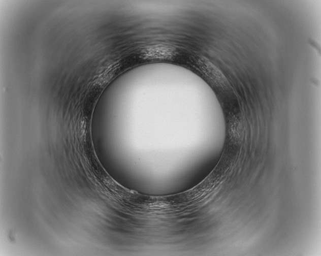 X0000098100551200804181427