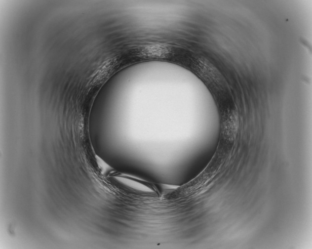 X0000098100552200804181427