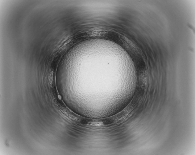 X0000098100554200804181428