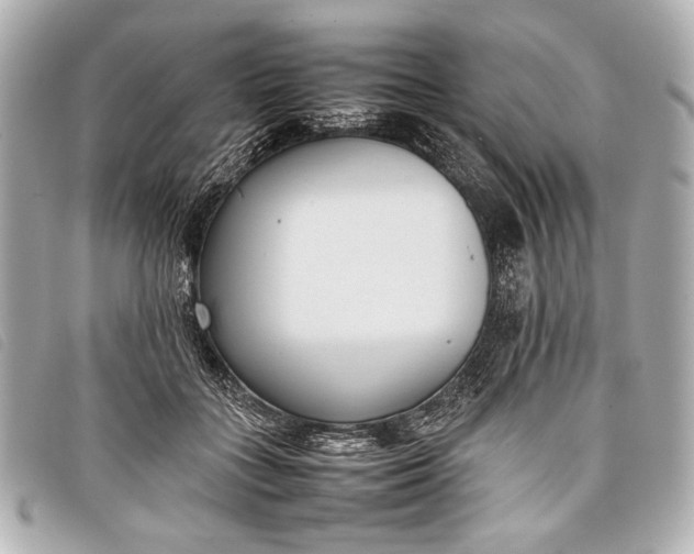 X0000098100555200804181428