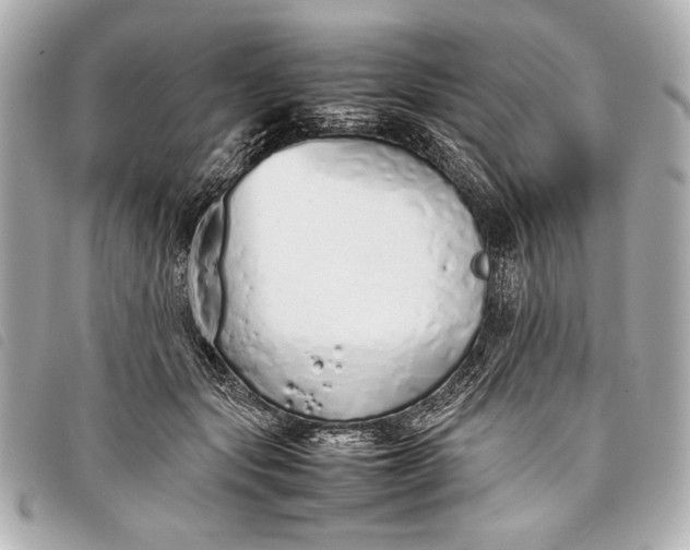 X0000098100557200804181428