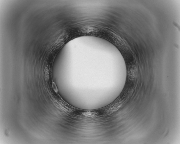 X0000098100558200804181428
