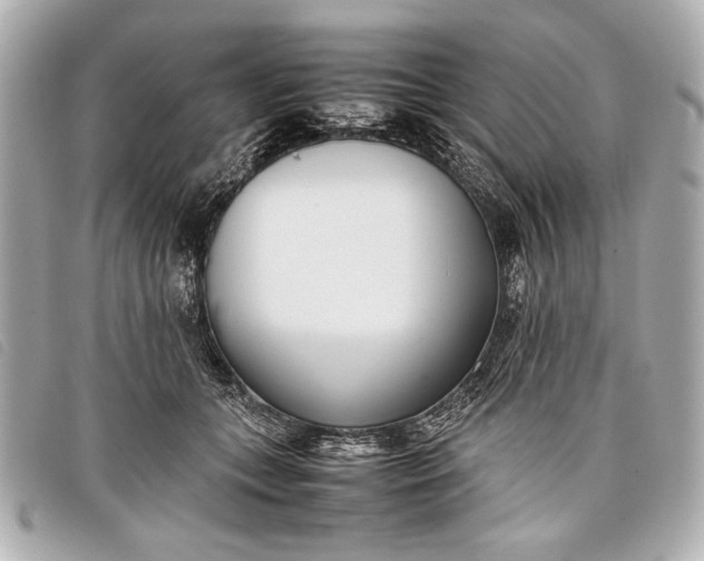 X0000098100559200804181428