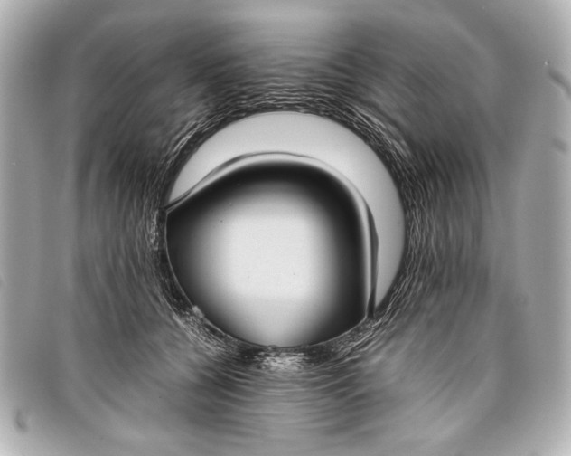 X0000098100560200804181428