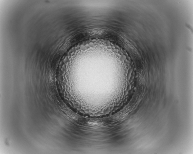 X0000098100561200804181428
