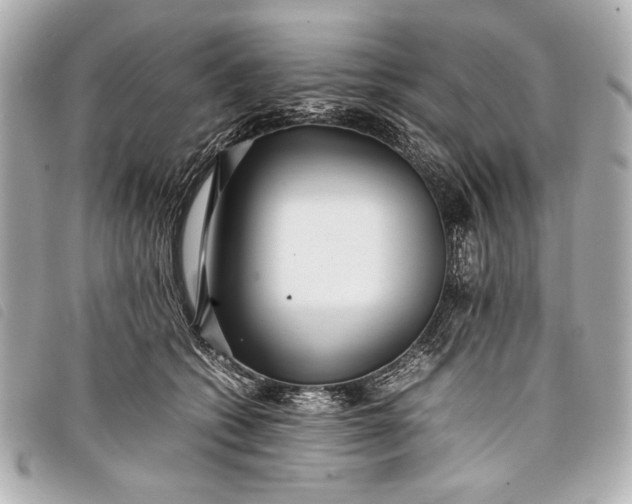 X0000098100562200804181428