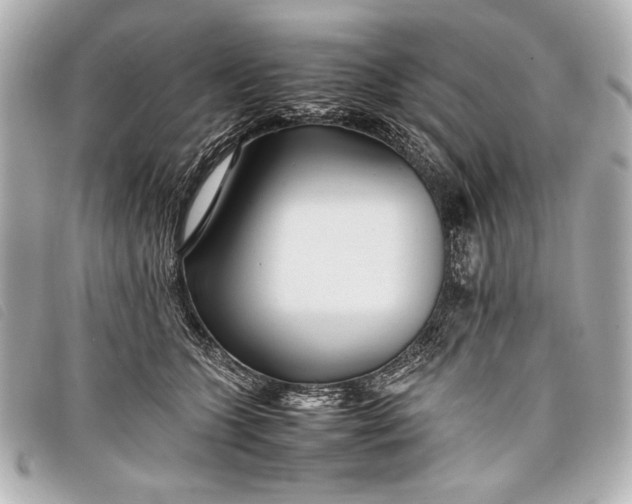 X0000098100563200804181428