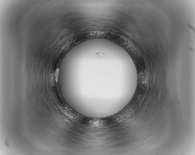 X0000098100564200804181428